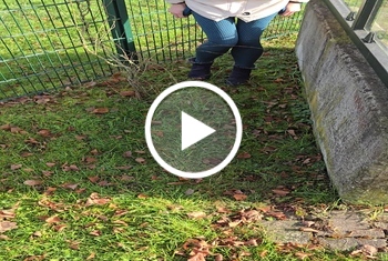 Bushaltestelle A*******t