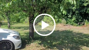 Sonnenstrahlen und sehr viel Spaß