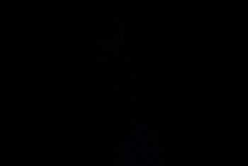 Cleosvibe - Profilbild