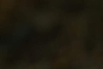 Mr-MrsBob - Profilbild