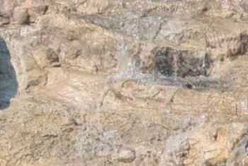 Haveanamesorry - Profilbild