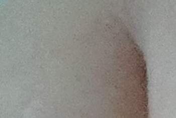 Lindafee - Profilbild