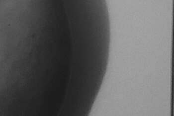 Anna1505 - Profilbild