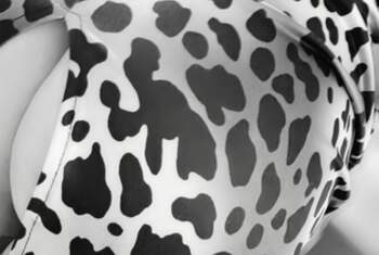 Ink-Lady - Profilbild