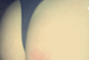 Huren Inserate