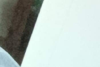 Pingigirl - Profilbild