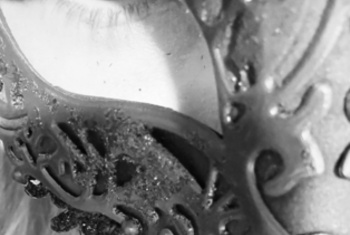 Jessij, 32 Jahre, Pornodarstellerin