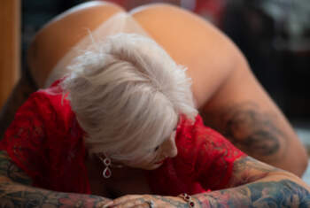 Roxy-Velvet - Profilbild