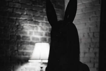 SecretCiCi - Profilbild