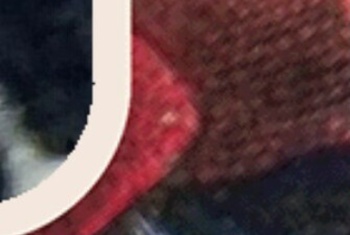FlotteBiene56, 43 Jahre, Pornodarstellerin