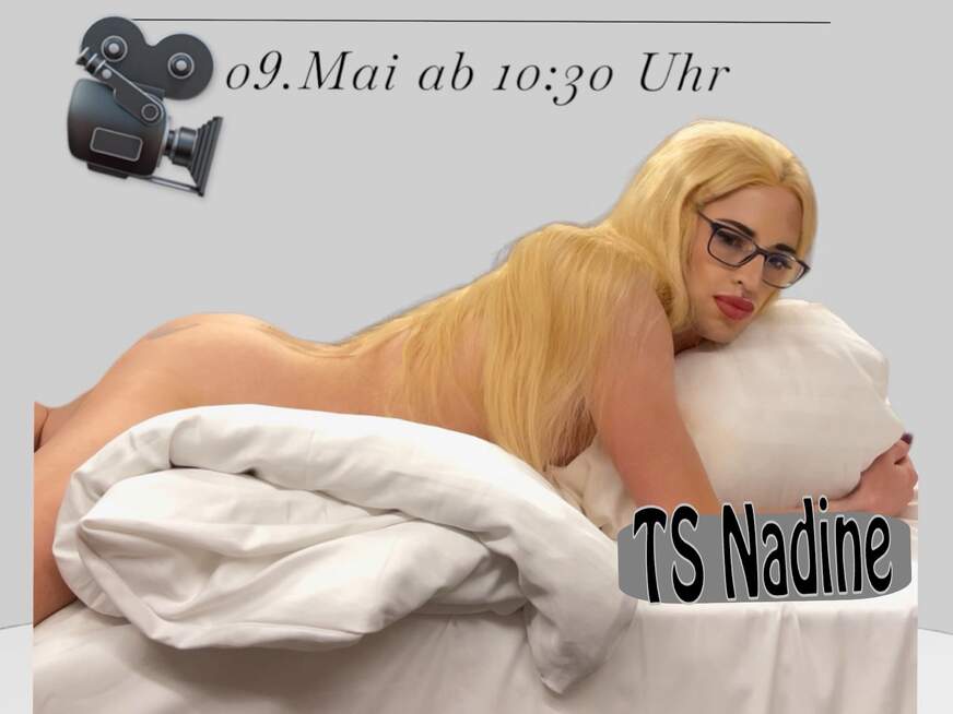 nadinepracher - Bolg