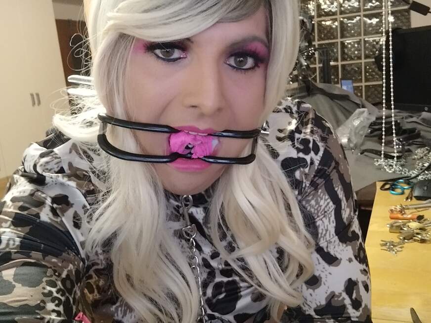 Rubberdollive - Bolg