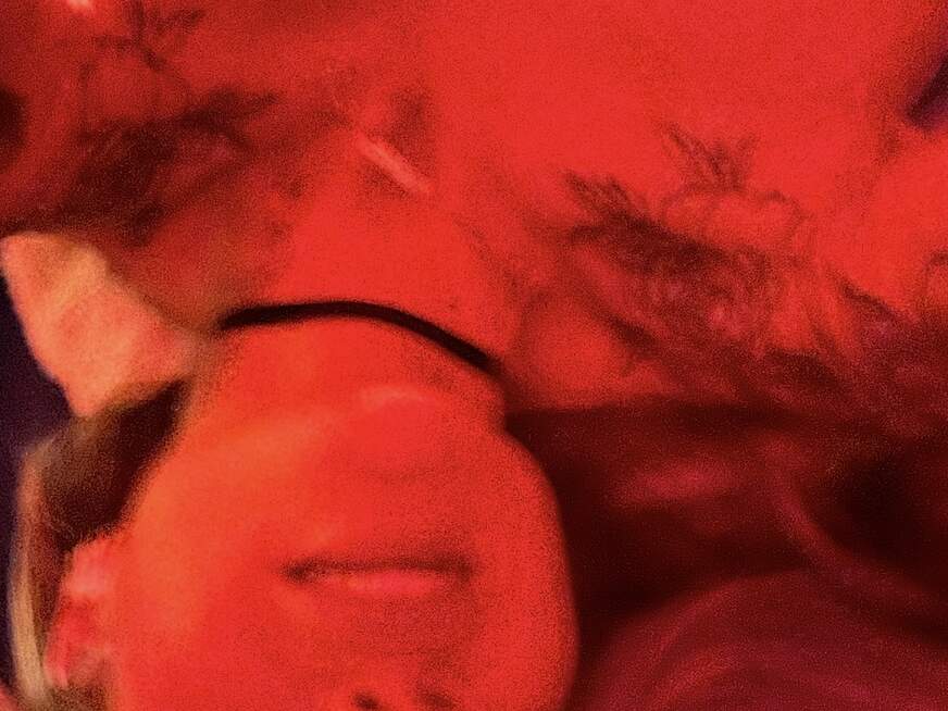 Etwasneugierig - Bolg