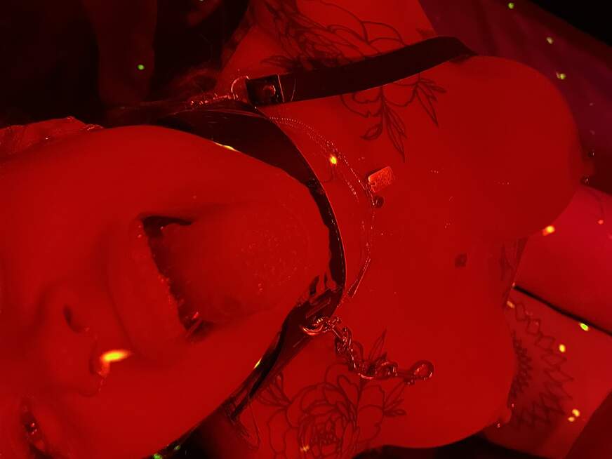 Etwasneugierig - Bolg