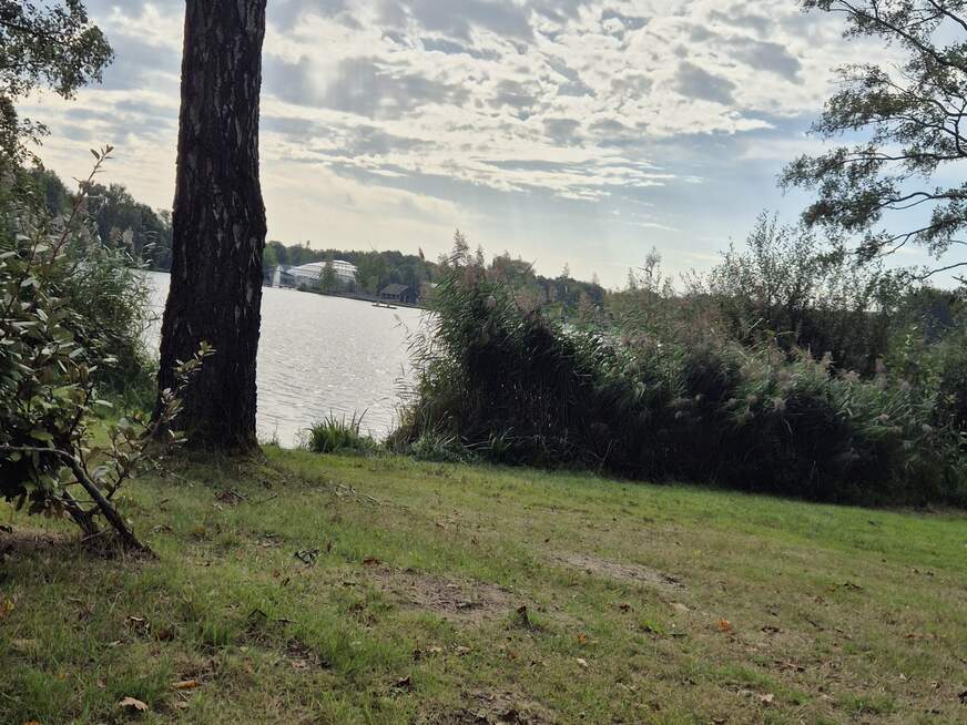 Parkplatzh**e - Bolg