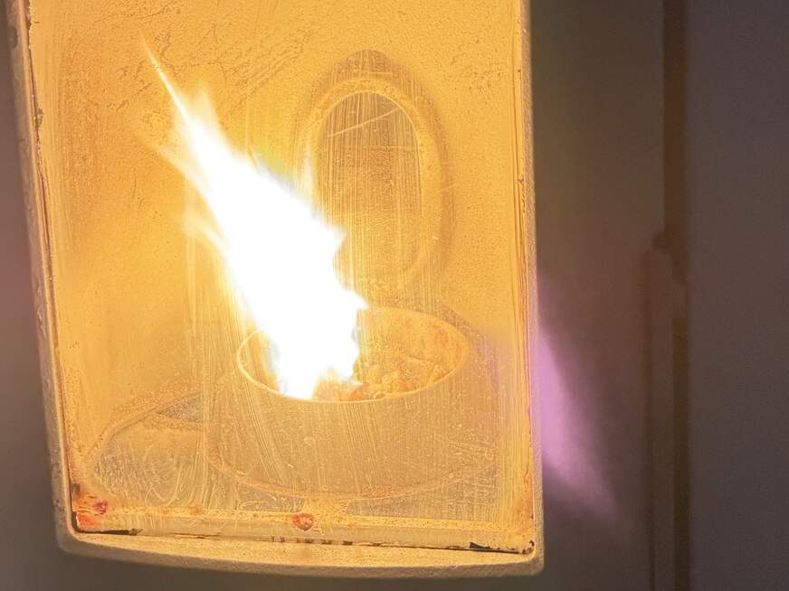 Hot-franzi - Bolg