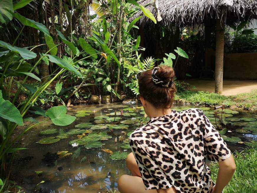 Strandliebhaberin - Bolg