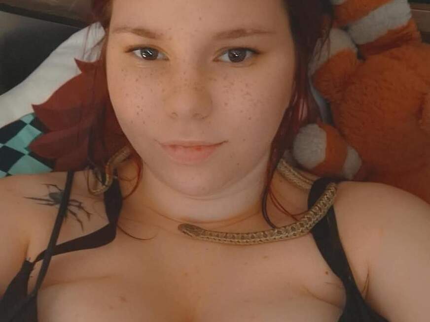 LizzyRedhead - Bolg