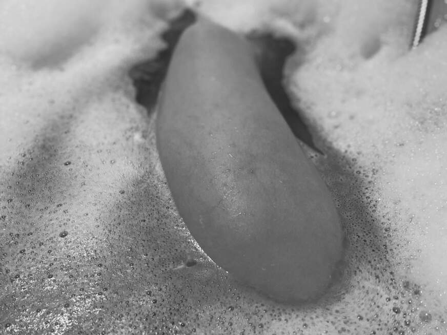 Selina-und-Gomez - Bolg