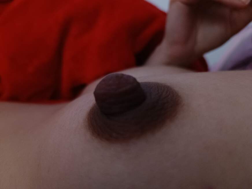 Selina-und-Gomez - Bolg