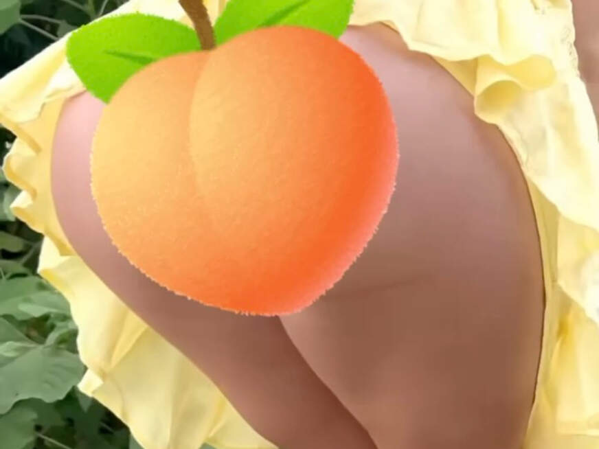 Schneckchiien - Bolg