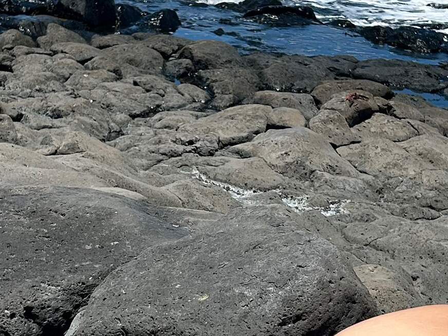 Sunnythebunny ᐅ 24 Jährige Pornodarstellerin aus Schweiz