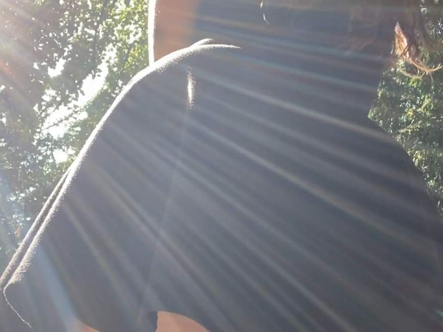Sunnythebunny ᐅ 24 Jährige Pornodarstellerin aus Schweiz