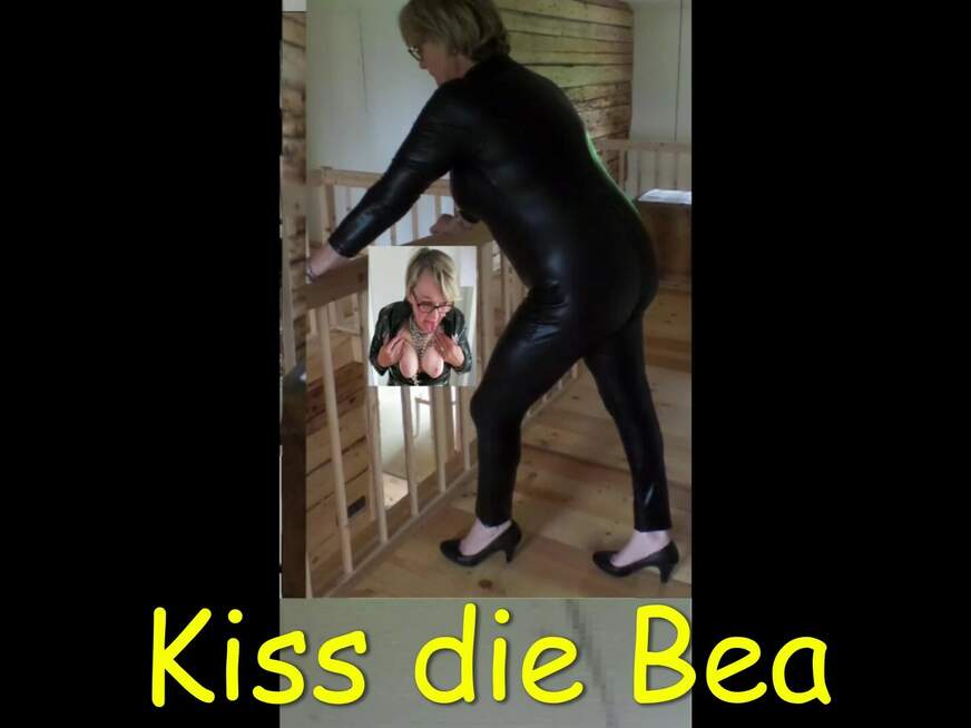 DiereifeBea - Bolg