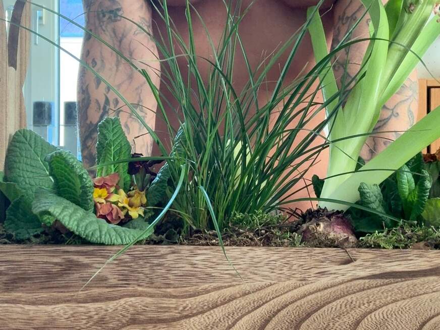 SusiSorglosNRW - Bolg