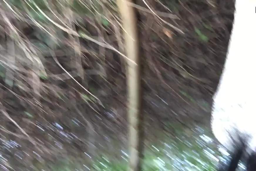 Patrice24: Outdoor P***e