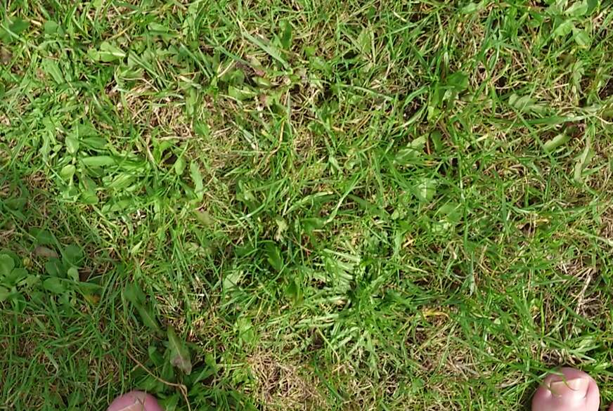 Nylonj***e: Barfuß in der September Nordsee im Wangerland