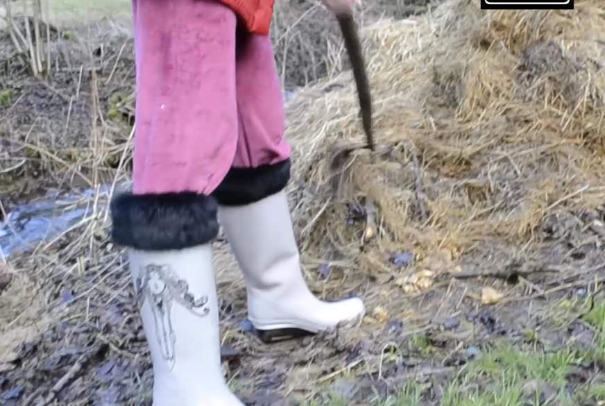 Stallarbeit mal anders von Gbweib