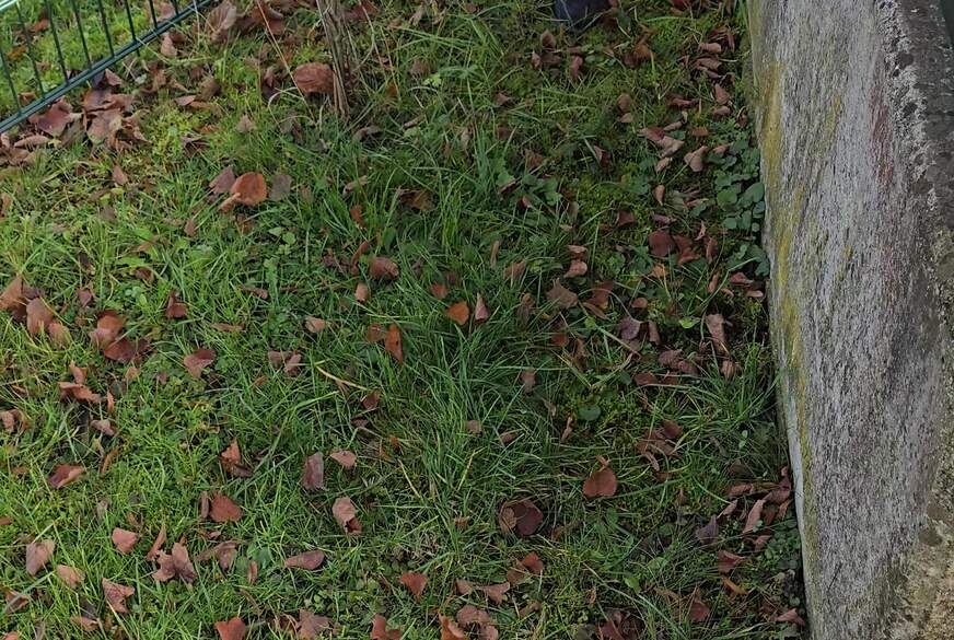 Ayoona: Bushaltestelle A*******t