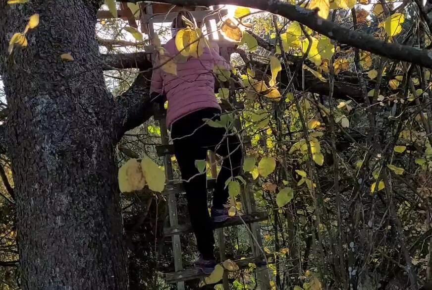 S*****t outdoor auf meinen A***h nach dem Sex im geheimen Baumhaus von SexySuesse pic2