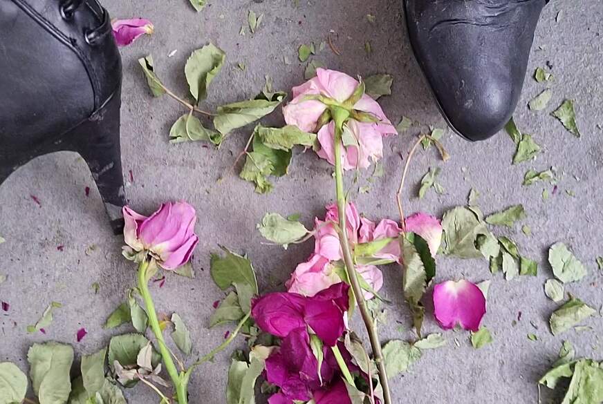 Domina zerstört Rosen T*******g von SexySuesse pic3
