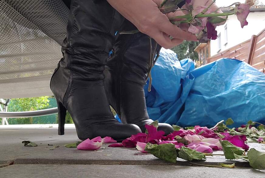 Domina zerstört Rosen T*******g von SexySuesse pic4