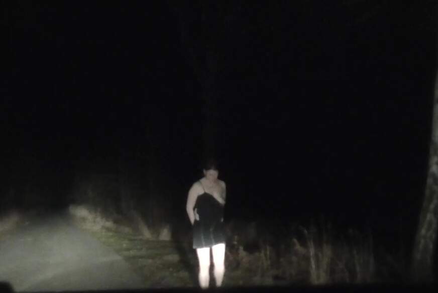 sidecut-susi: Als Anhalterin b*****t