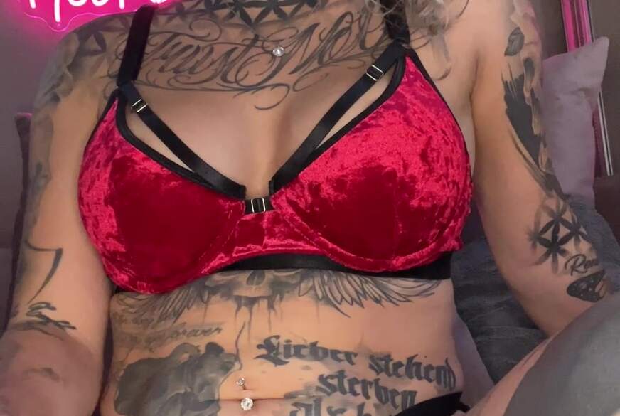 So b***t du Alphas******e richtig von HotFeli