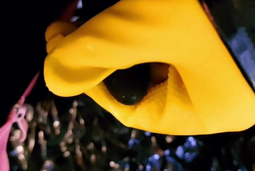 Ich f***e dein A*******h mit dem S*****n und gelbe Gummihandschuhe von LadyDomisa pic4