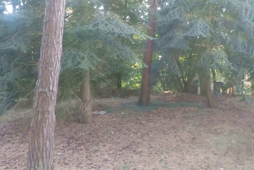 Sweetlonglips: Verdammter Spanner