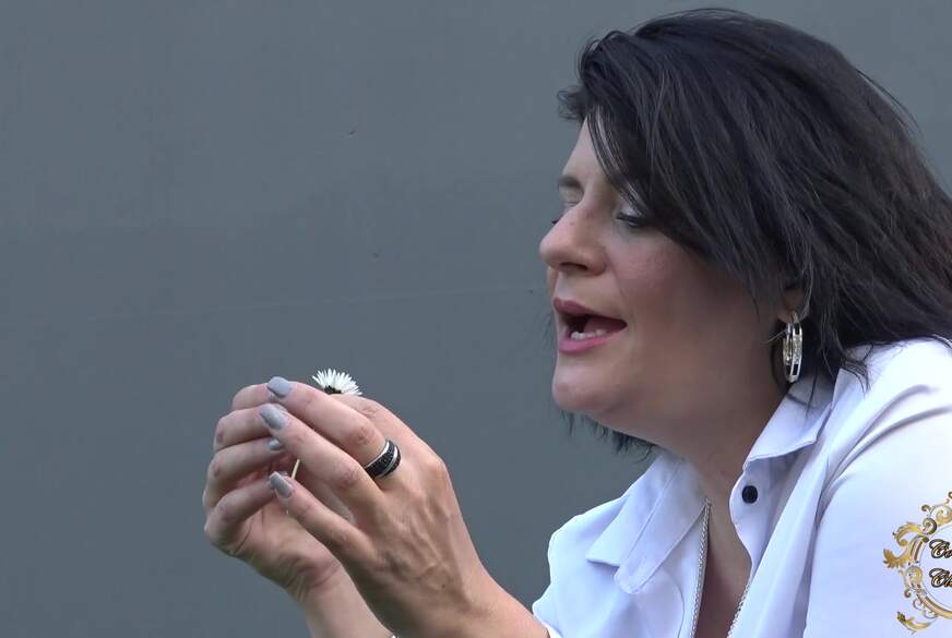 Aufmerksamkeit? Oder nicht? von Contessa-Claudia pic3