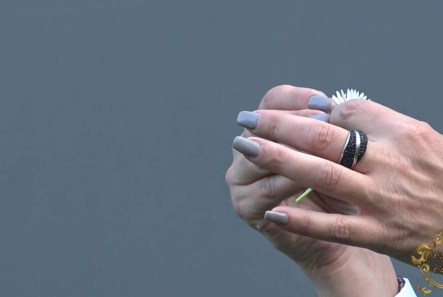 Aufmerksamkeit? Oder nicht? von Contessa-Claudia pic4