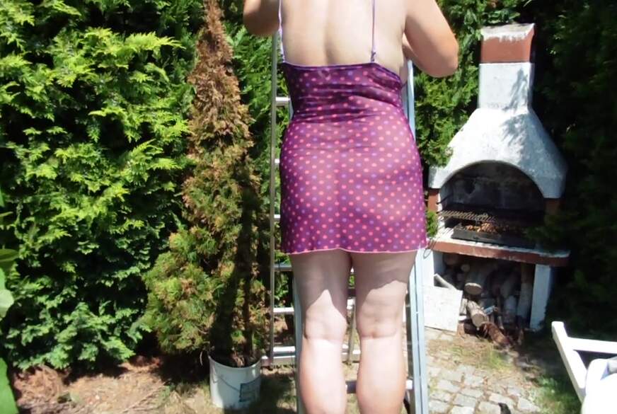 elbluder: Heißer Sommer im Garten !!!!