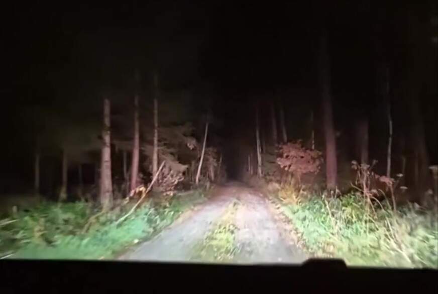 Nächtlicher B**wjob im Wald von Kernoel-Fut