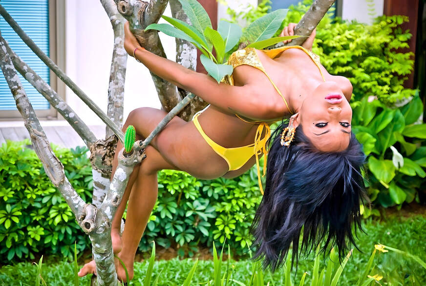 Trans In A B**terfly Outfits Masturbation von Asianc*m69 pic1