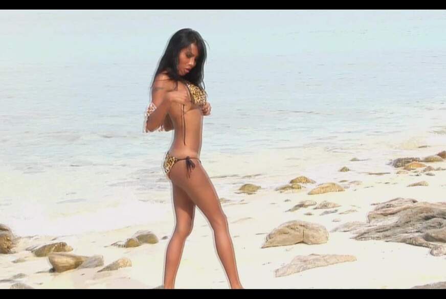 Asianc*m69: J**gle Beach Masturbation