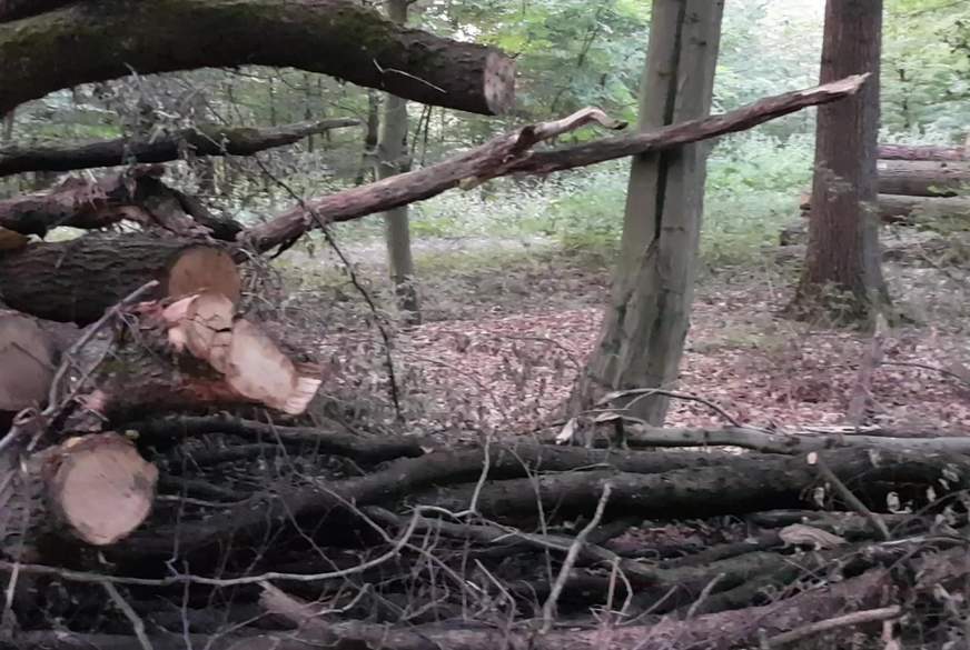 S*******r84: beim radfahren kurz abg******n