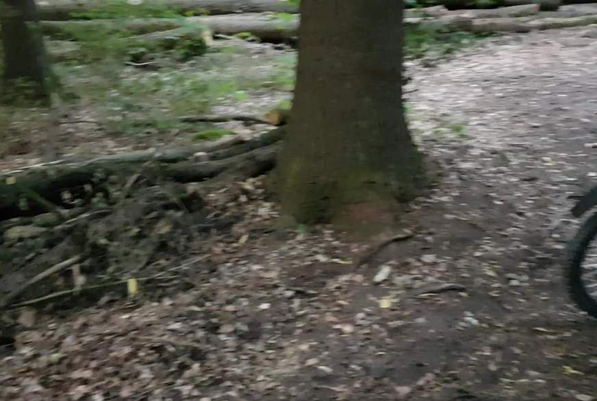 S*******r84: beim radfahren kurz abg******n