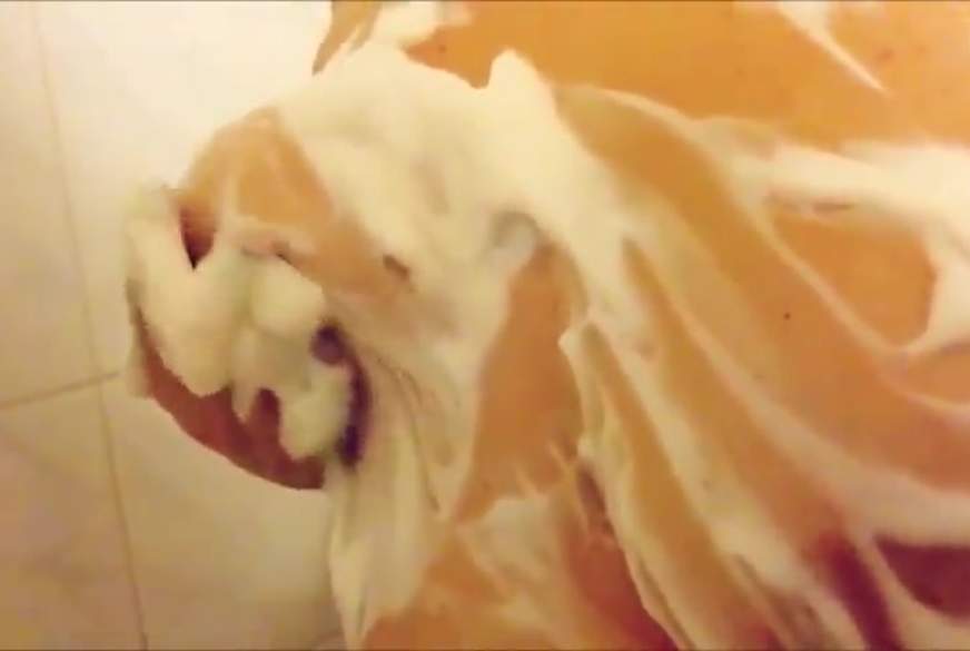 LatinaBonita: Meine geilen Titten einseifen