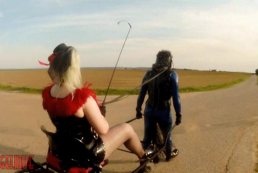 Sklavenleben ist ein P**yhof von Avengelique pic2